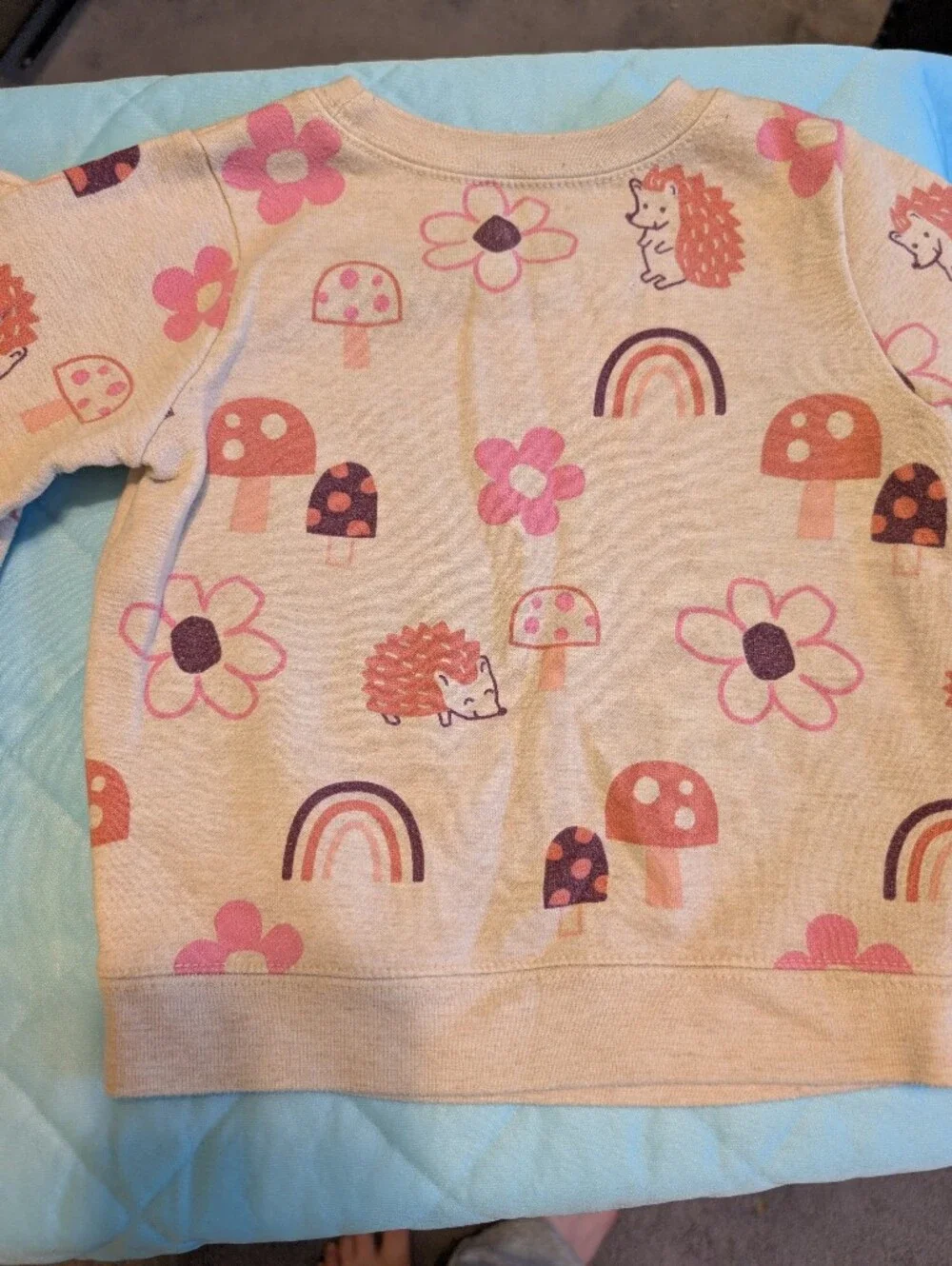 Garanimals Cream Pink Rainbow & Hedgehog Kids Matching Set